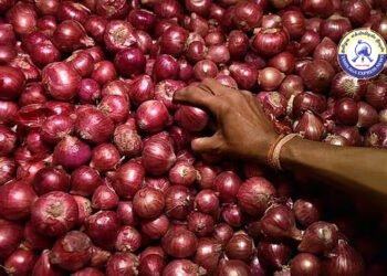 ஒரு குவிண்டால் (100 கிலோ) வெங்காயத்திற்கு ₹350 மானியம்