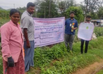 மதுரை அலங்காநல்லூரில்