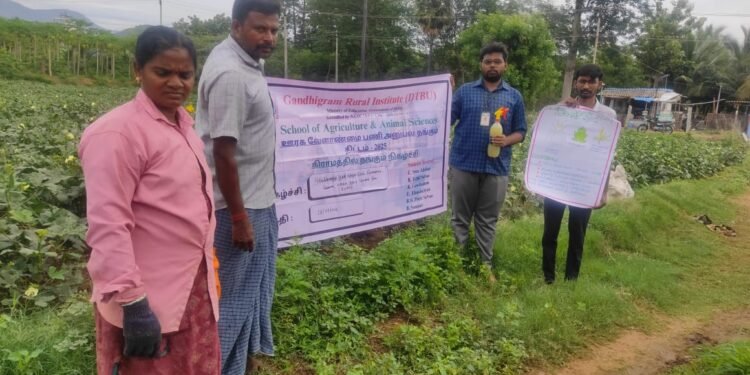 மதுரை அலங்காநல்லூரில்